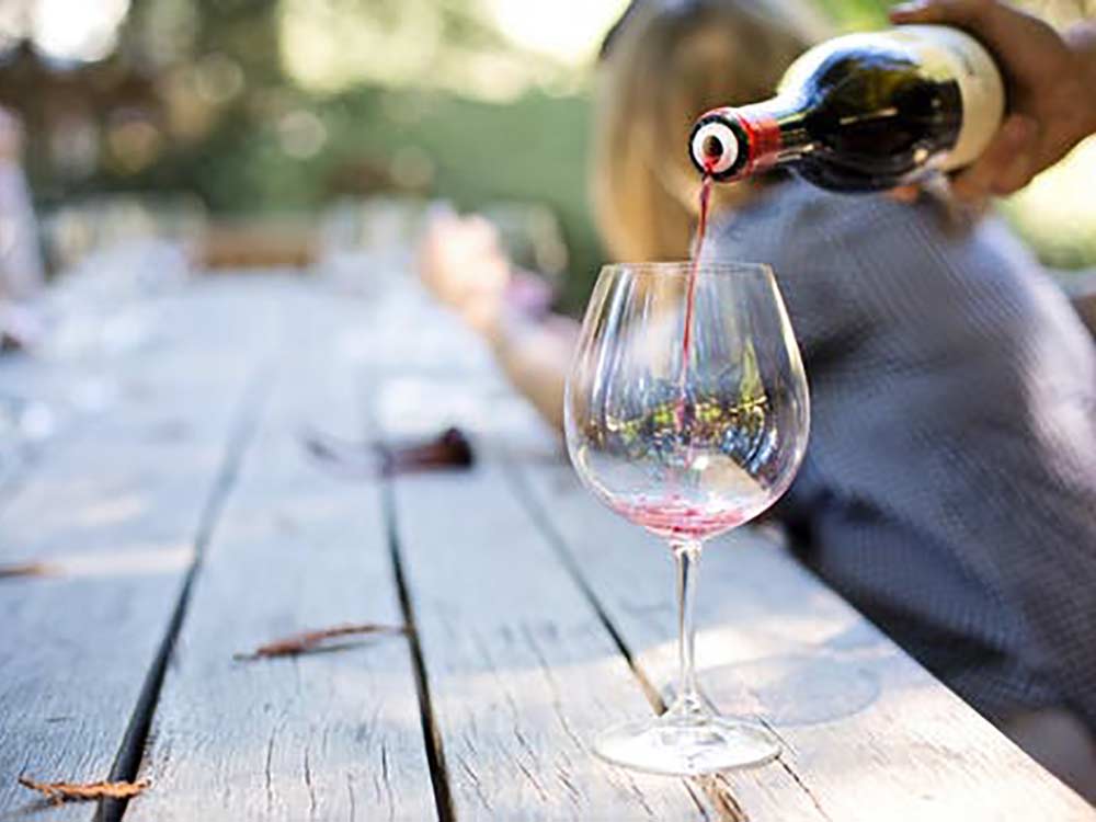 Cluventure Wine Tasting